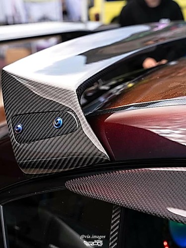 Rpg carbon rear roof vane - ss,